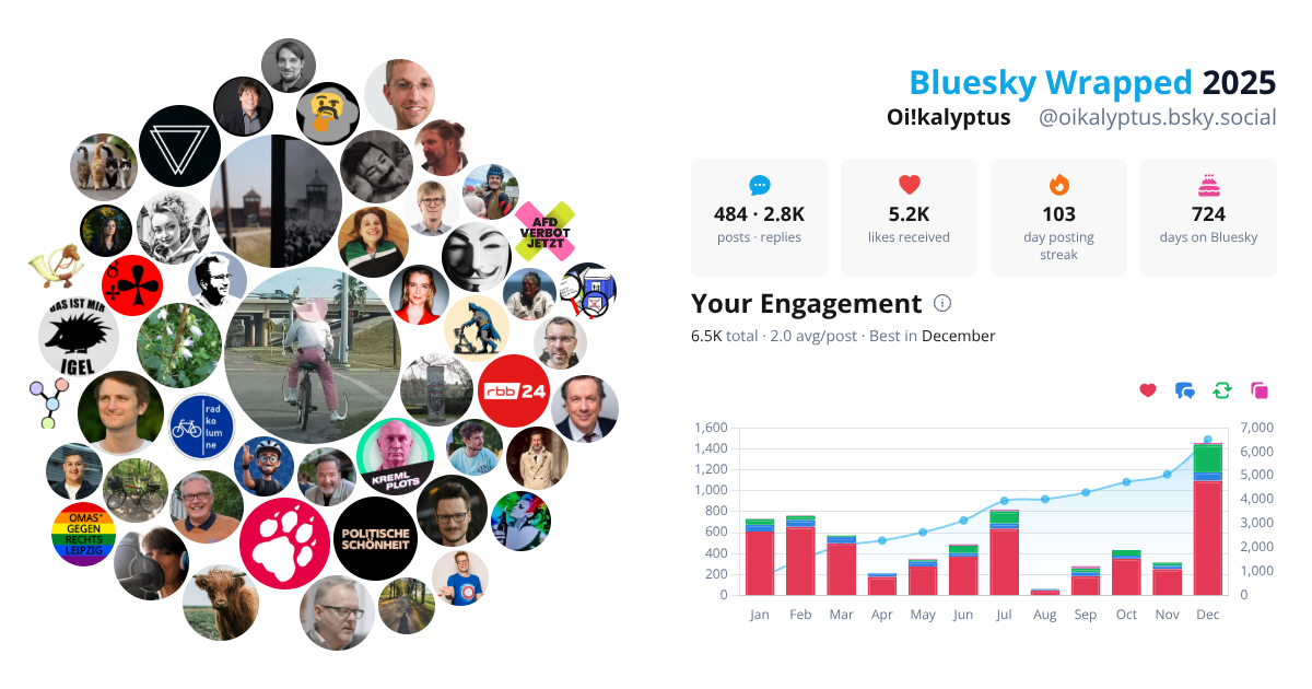 Your Bluesky Wrapped 2025 preview