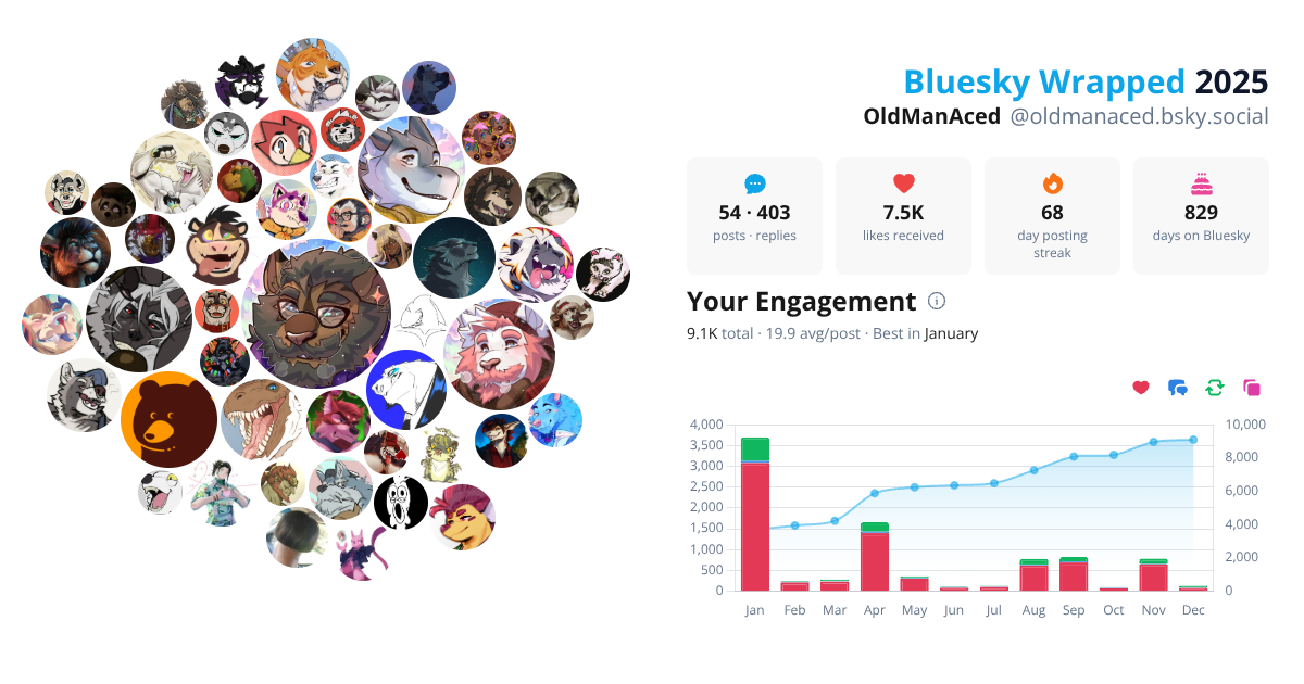 Your Bluesky Wrapped 2025 preview