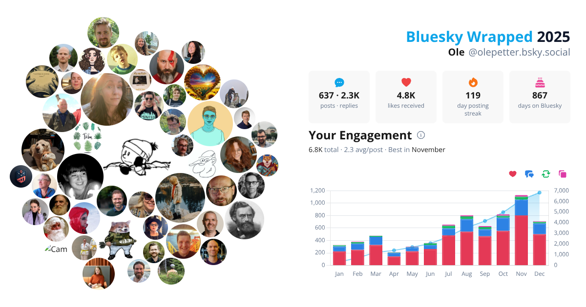 Your Bluesky Wrapped 2025 preview