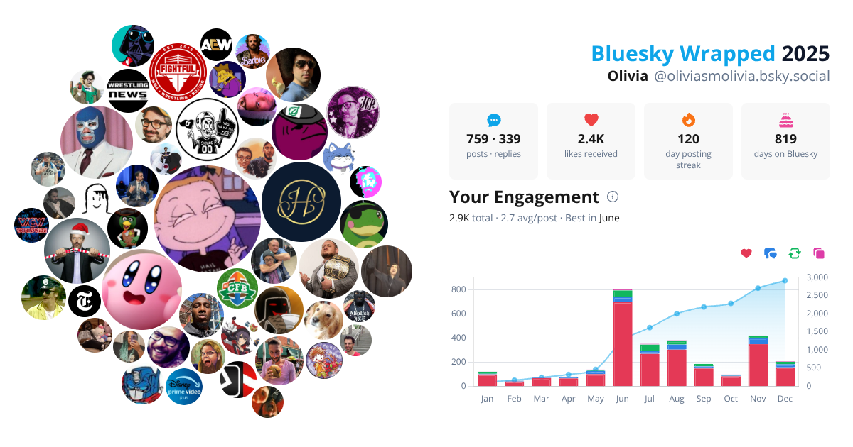 Your Bluesky Wrapped 2025 preview