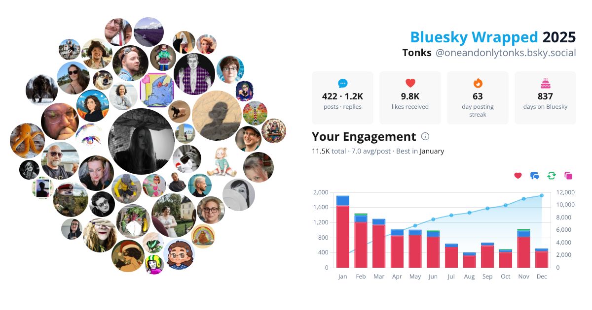 Your Bluesky Wrapped 2025 preview