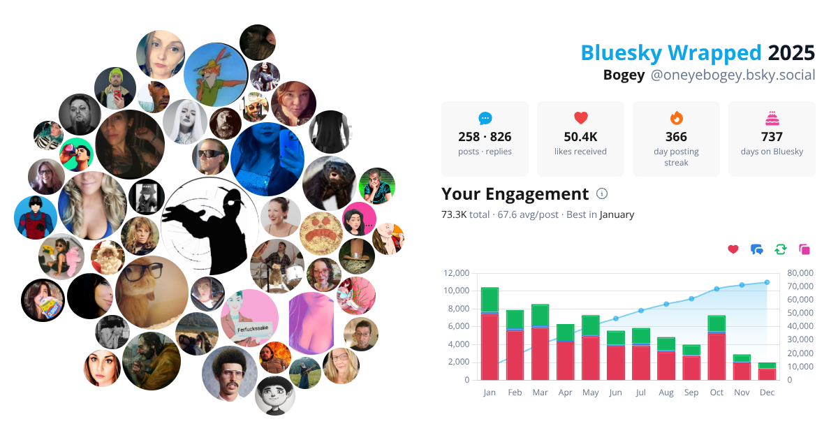 Your Bluesky Wrapped 2025 preview
