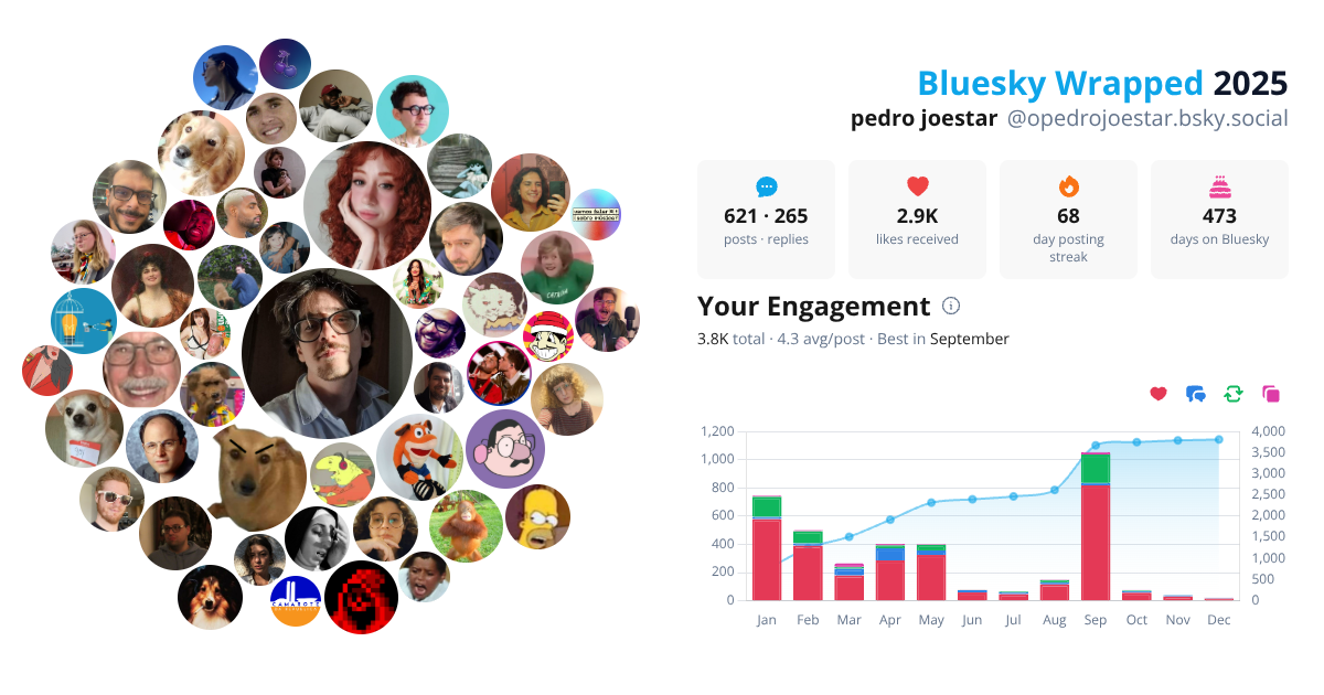 Your Bluesky Wrapped 2025 preview