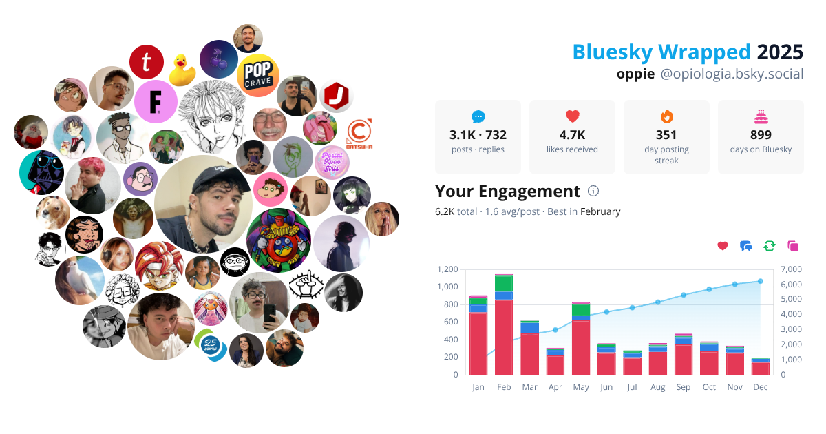 Your Bluesky Wrapped 2025 preview