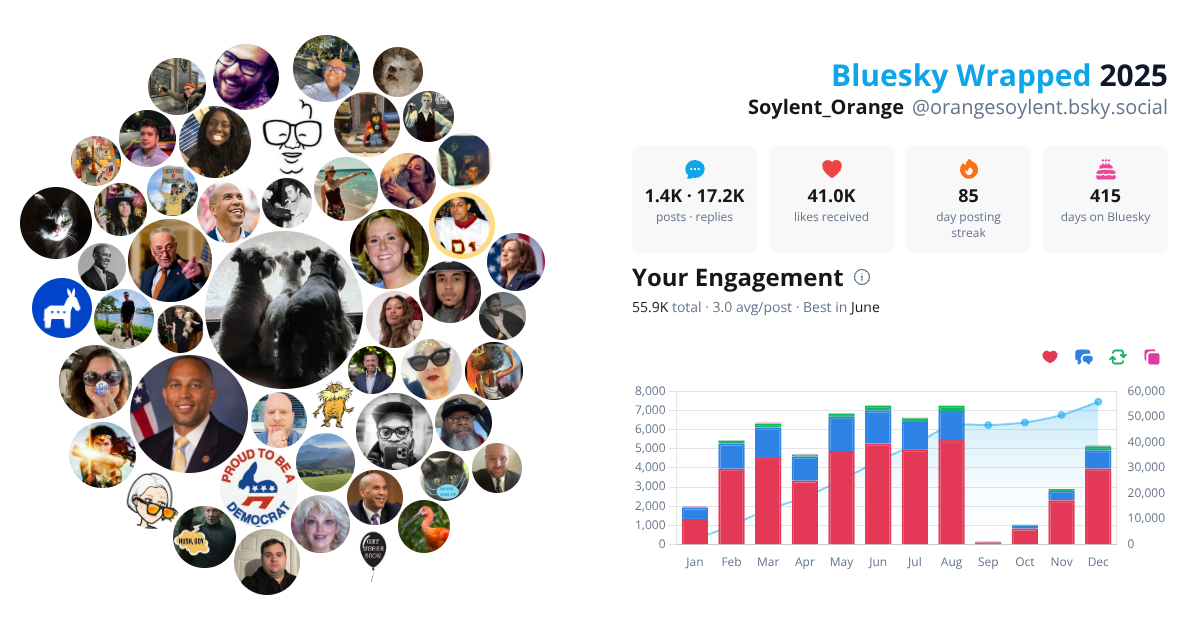 Your Bluesky Wrapped 2025 preview