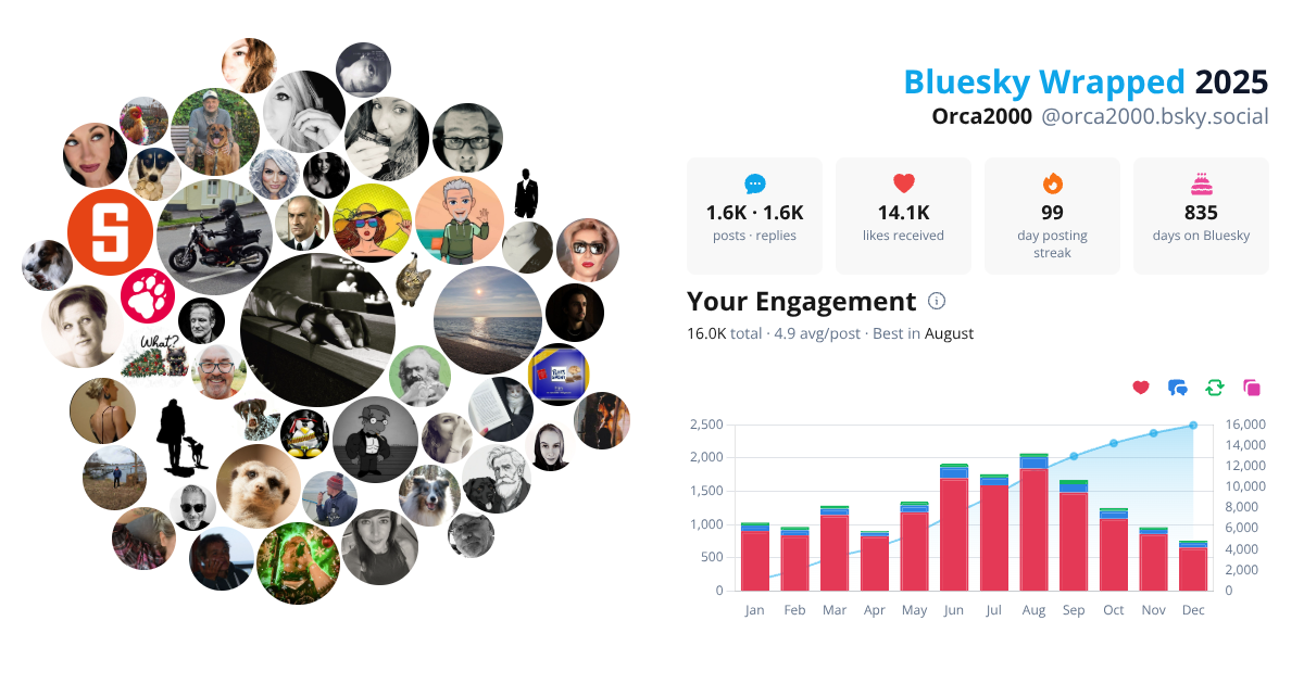 Your Bluesky Wrapped 2025 preview