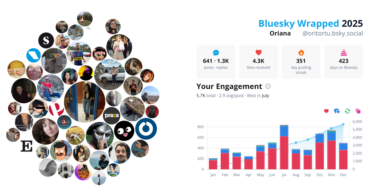 Your Bluesky Wrapped 2025 preview