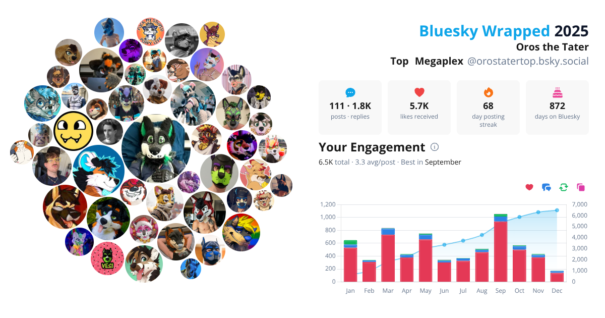Your Bluesky Wrapped 2025 preview