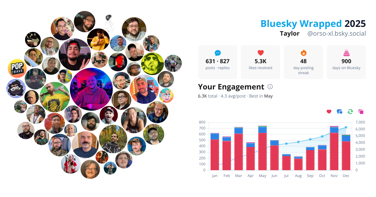 Your Bluesky Wrapped 2025 preview