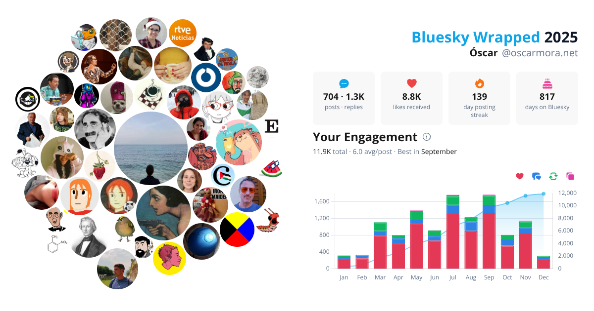 Your Bluesky Wrapped 2025 preview