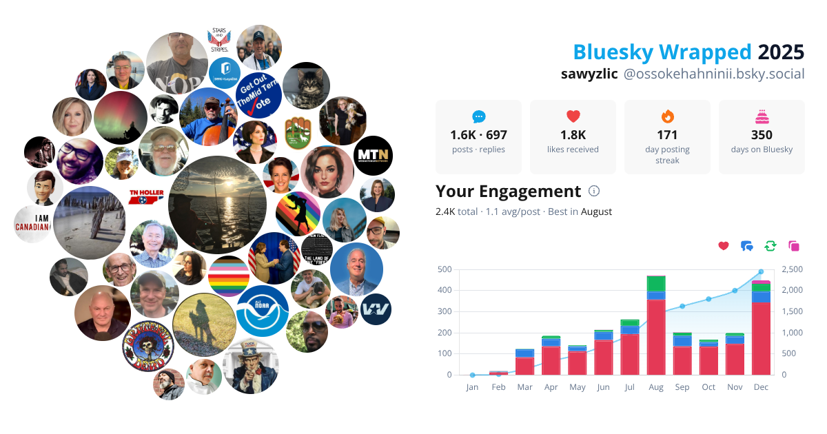 Your Bluesky Wrapped 2025 preview