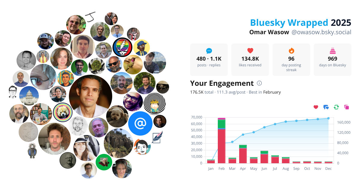 Your Bluesky Wrapped 2025 preview