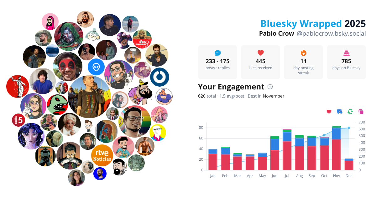 Your Bluesky Wrapped 2025 preview