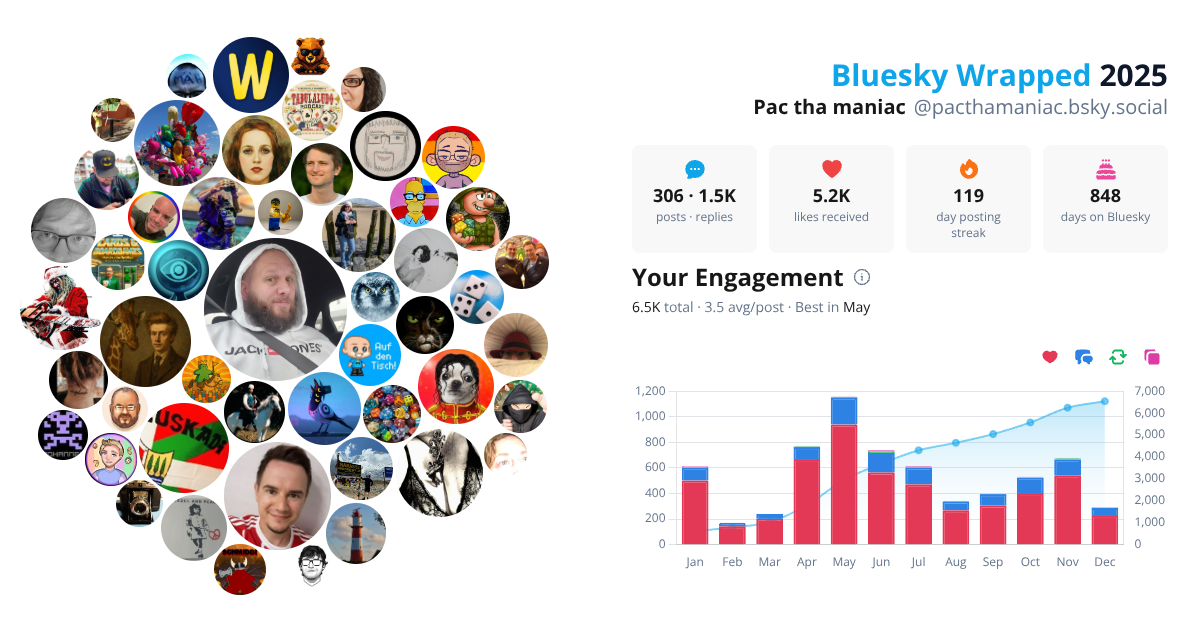 Your Bluesky Wrapped 2025 preview