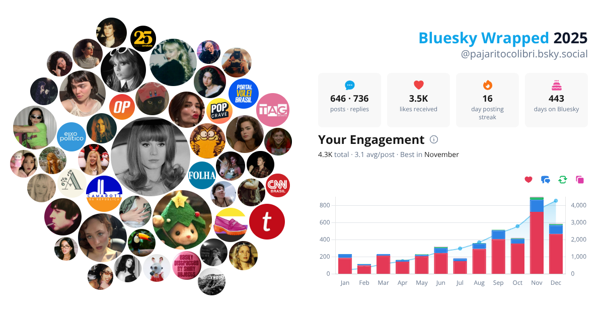 Your Bluesky Wrapped 2025 preview