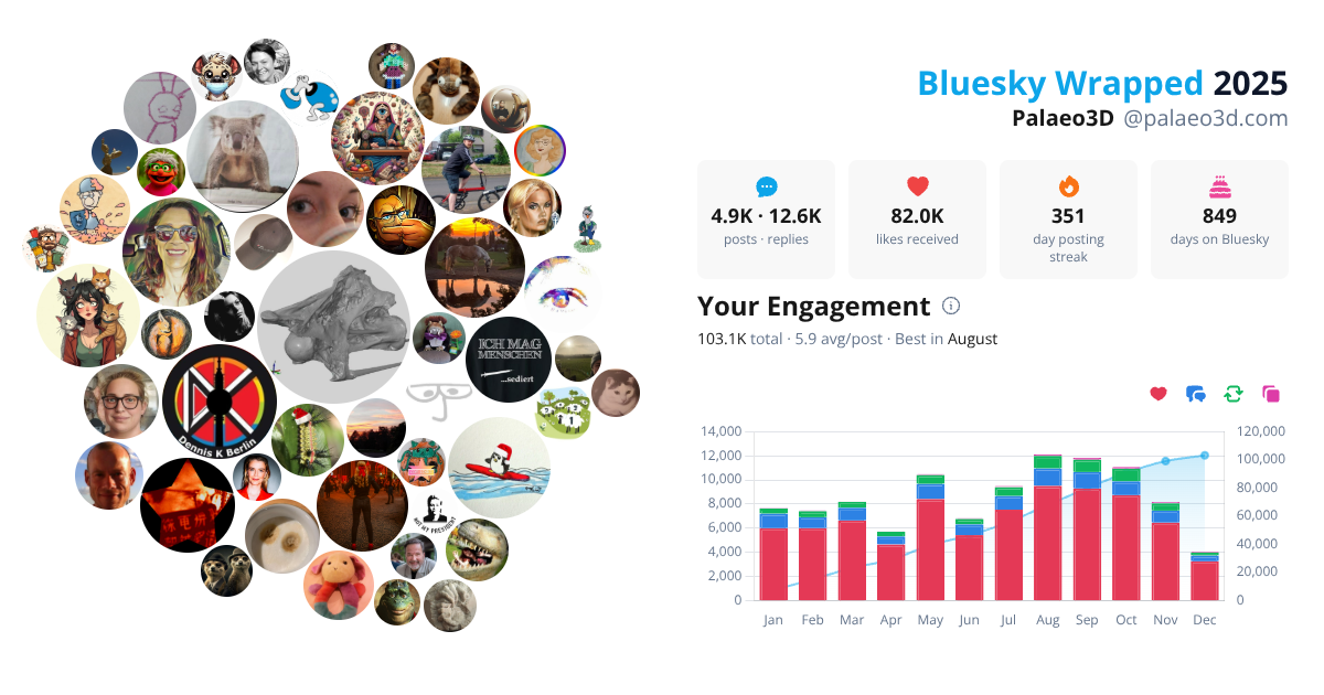 Your Bluesky Wrapped 2025 preview