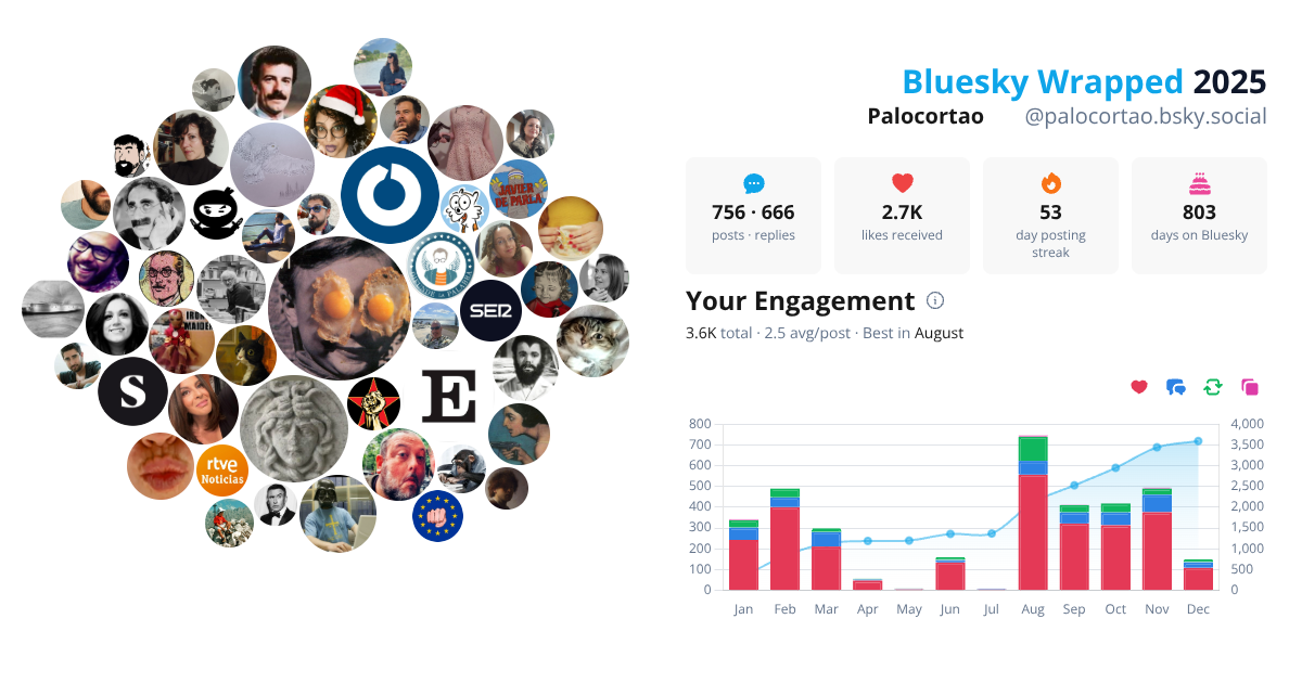 Your Bluesky Wrapped 2025 preview