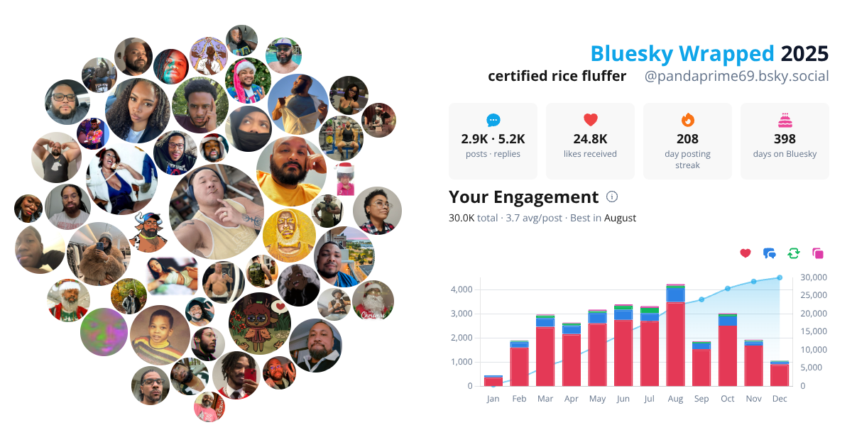 Your Bluesky Wrapped 2025 preview