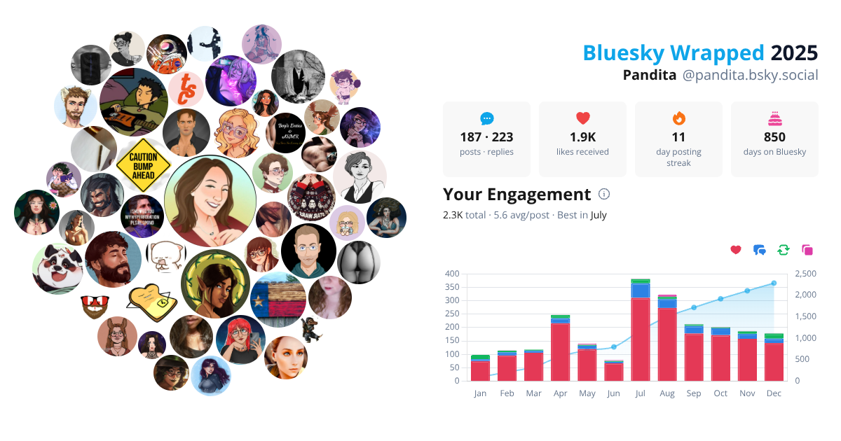 Your Bluesky Wrapped 2025 preview