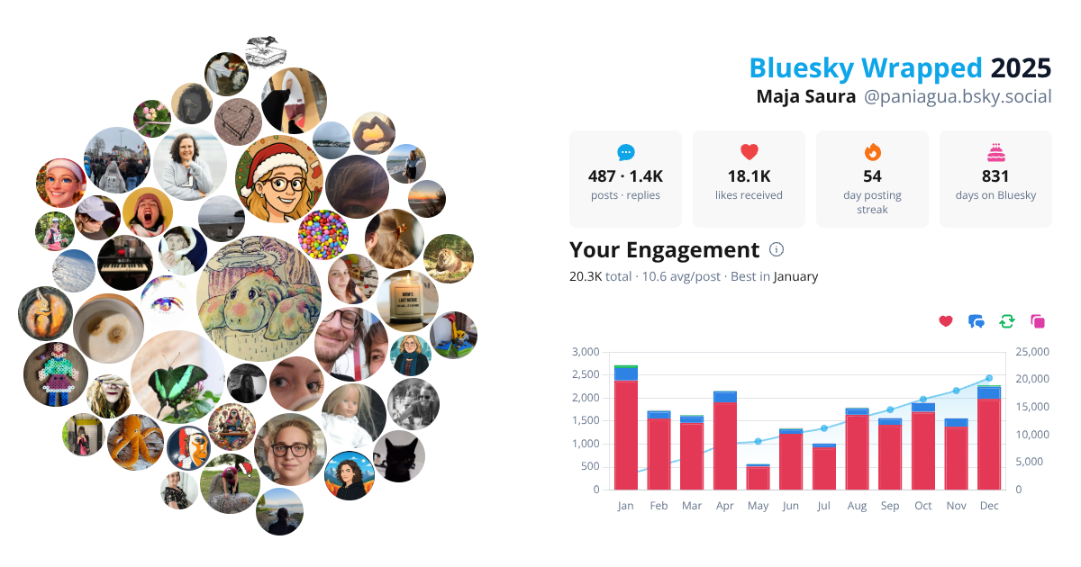 Your Bluesky Wrapped 2025 preview