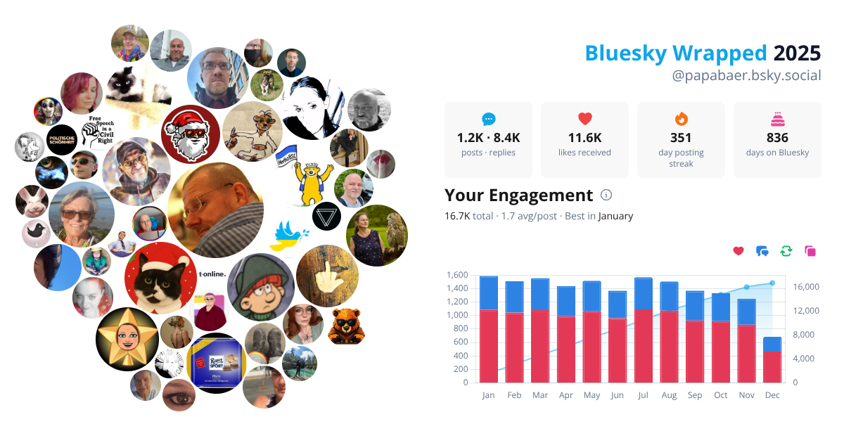 Your Bluesky Wrapped 2025 preview