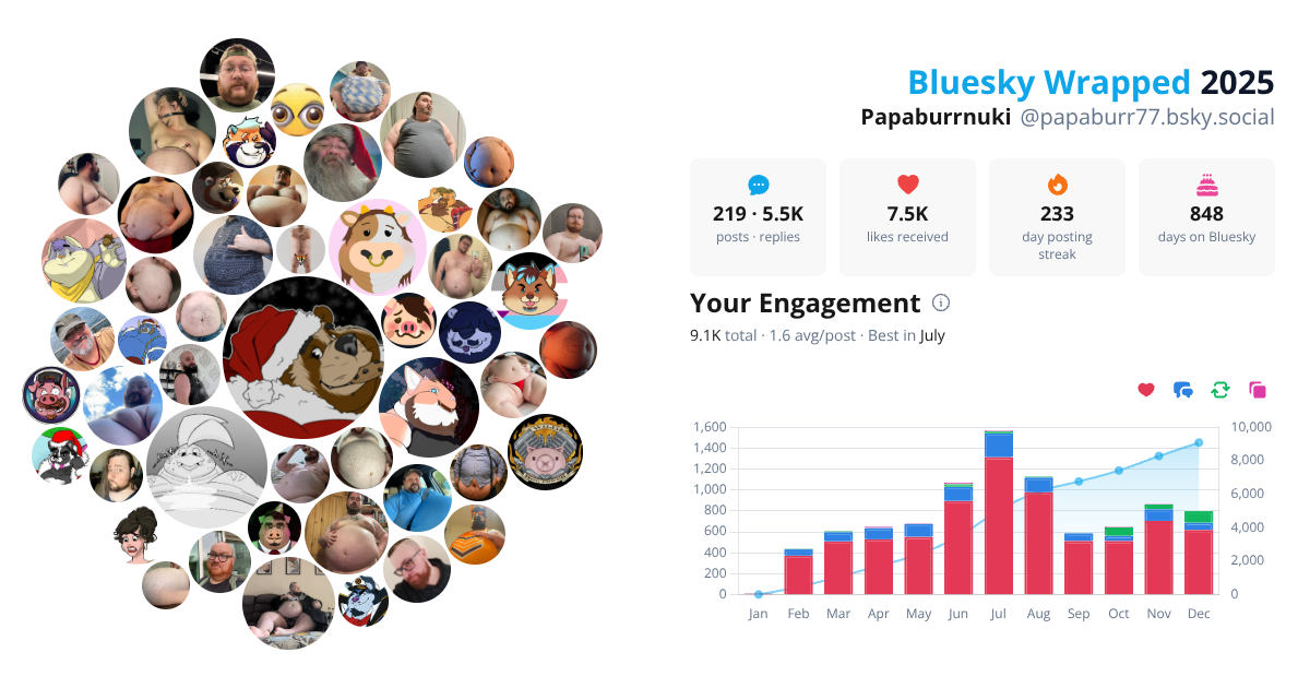 Your Bluesky Wrapped 2025 preview