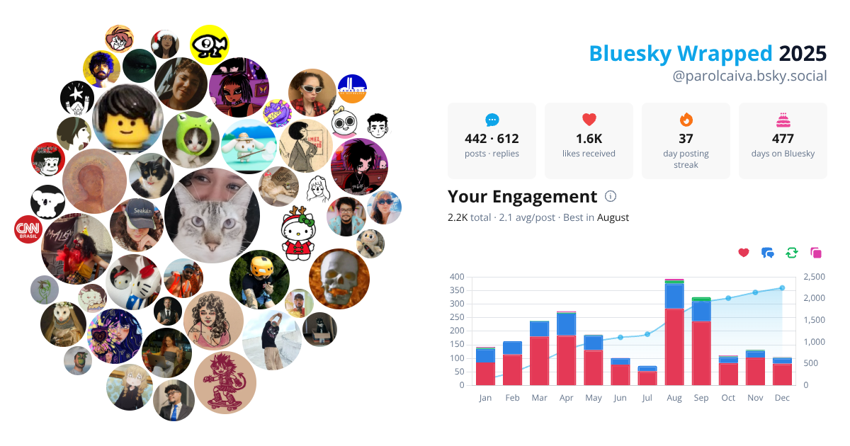 Your Bluesky Wrapped 2025 preview