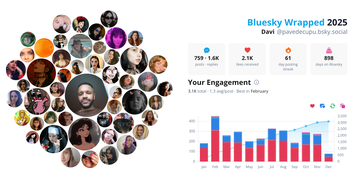 Your Bluesky Wrapped 2025 preview