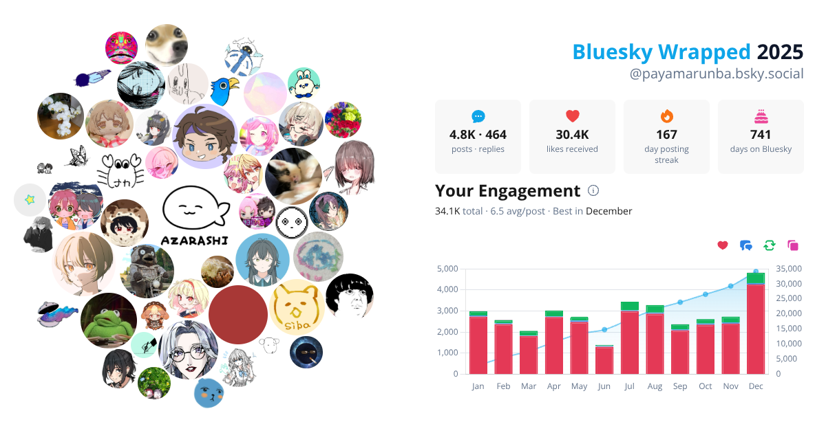 Your Bluesky Wrapped 2025 preview