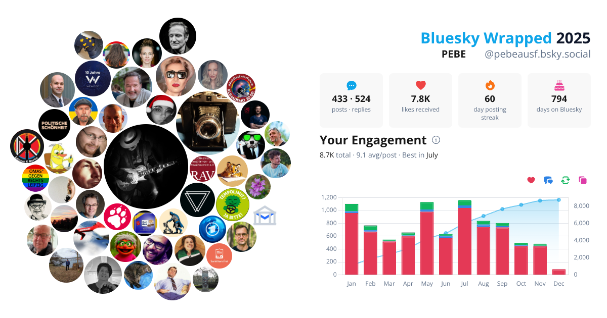Your Bluesky Wrapped 2025 preview