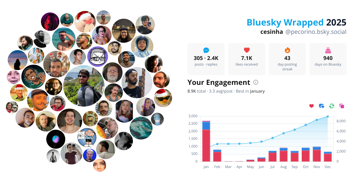 Your Bluesky Wrapped 2025 preview