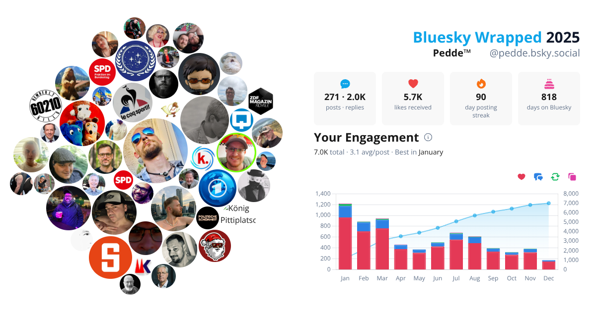 Your Bluesky Wrapped 2025 preview