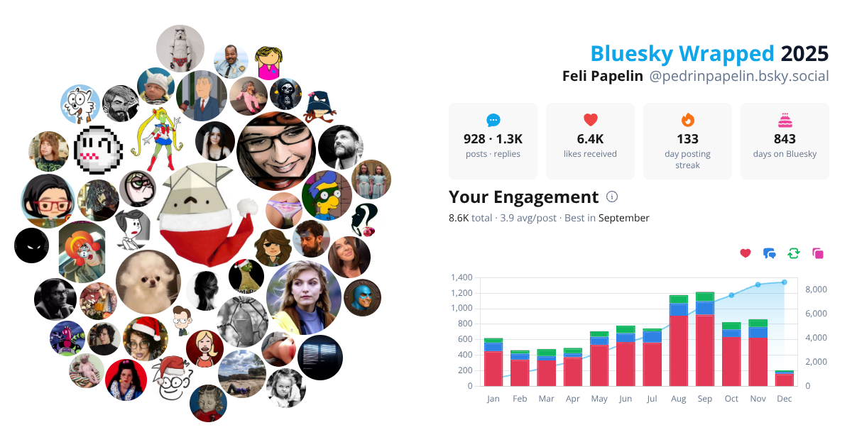 Your Bluesky Wrapped 2025 preview