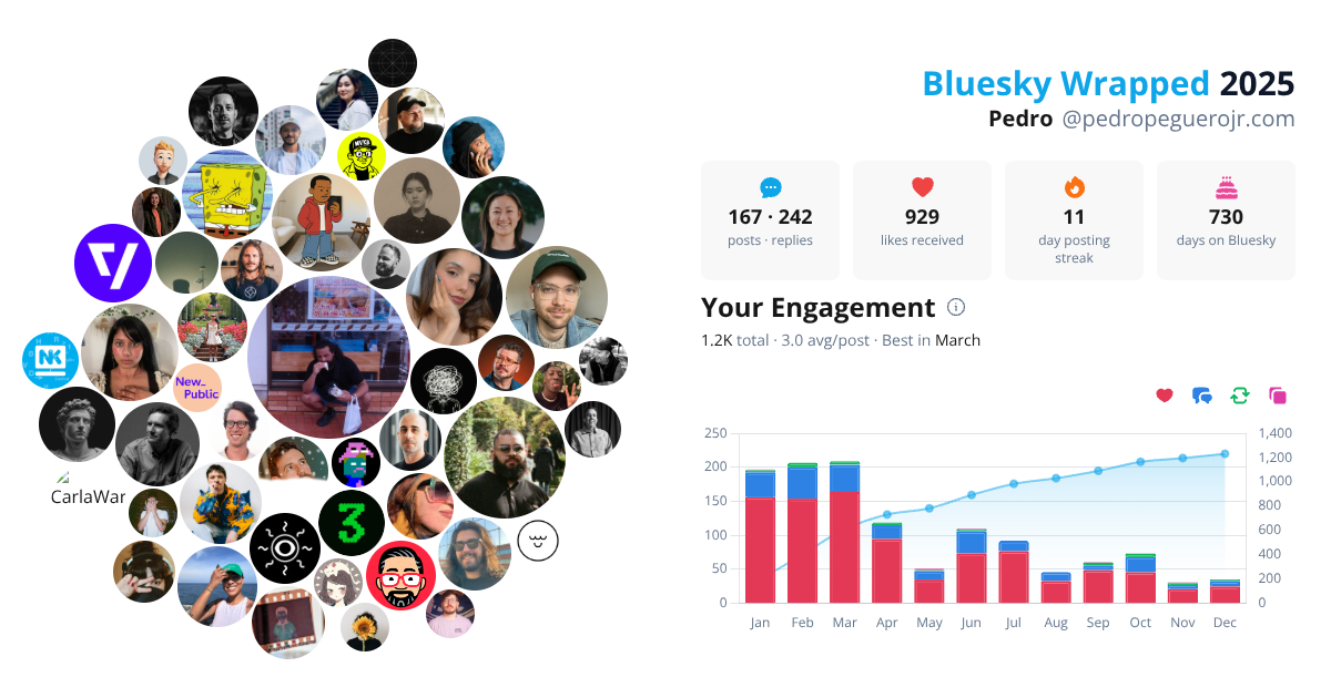 Your Bluesky Wrapped 2025 preview
