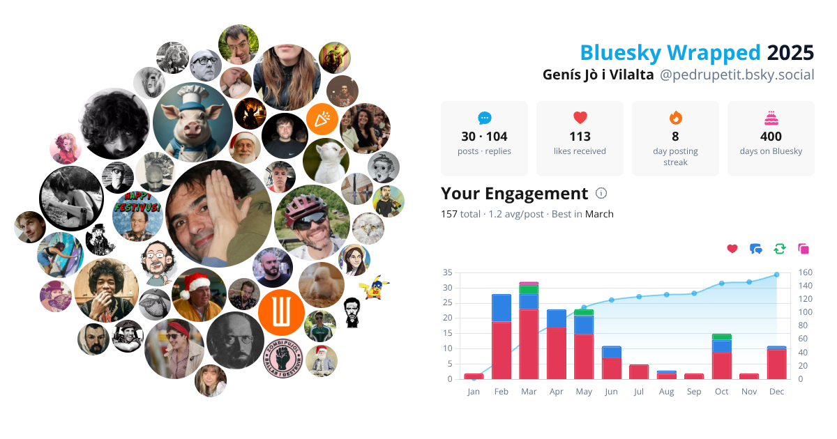 Your Bluesky Wrapped 2025 preview