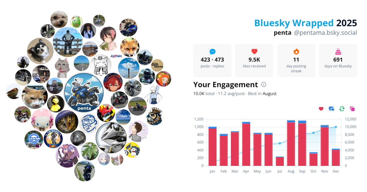 Your Bluesky Wrapped 2025 preview