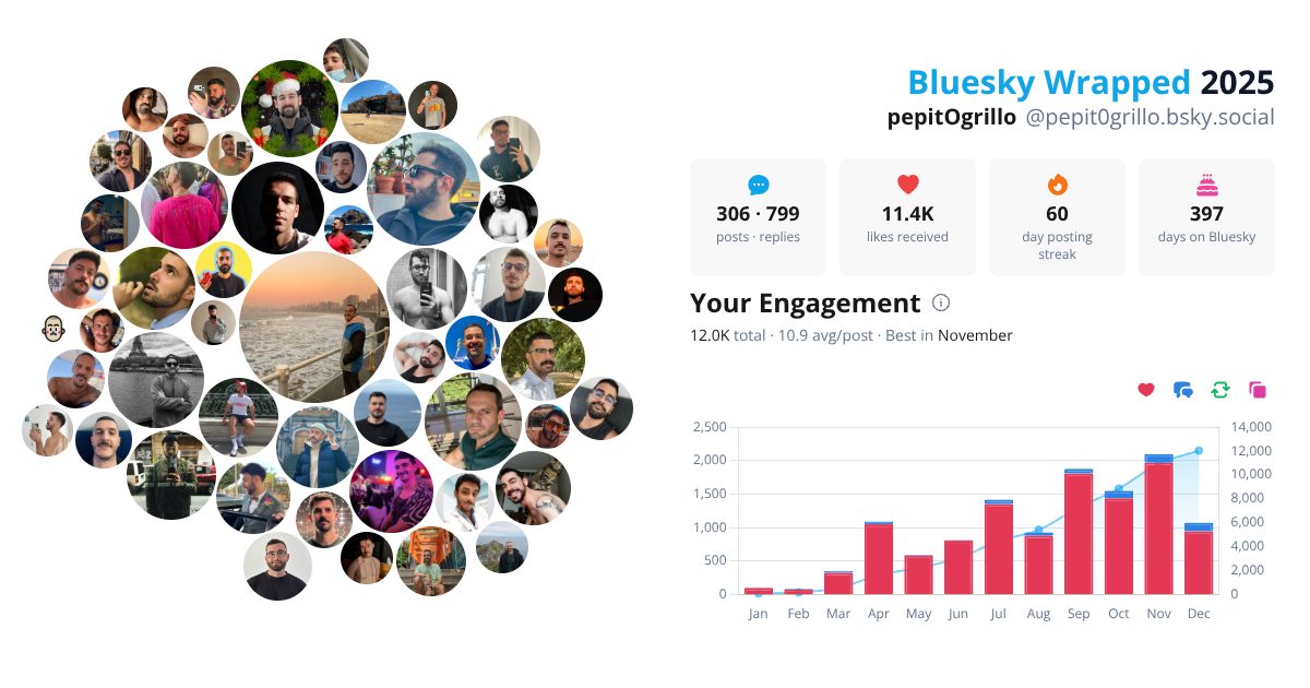Your Bluesky Wrapped 2025 preview