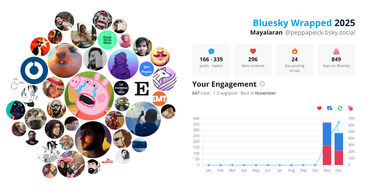 Your Bluesky Wrapped 2025 preview
