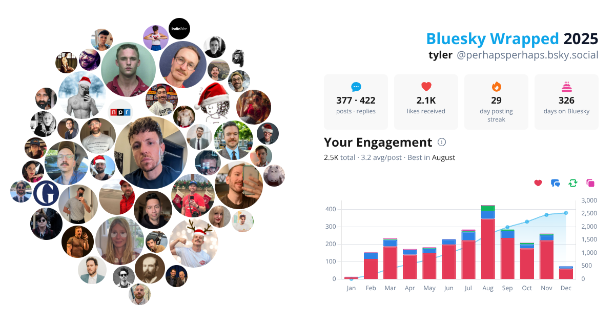 Your Bluesky Wrapped 2025 preview