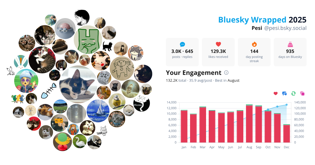 Your Bluesky Wrapped 2025 preview