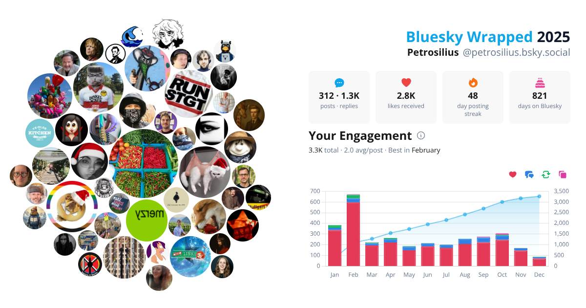 Your Bluesky Wrapped 2025 preview