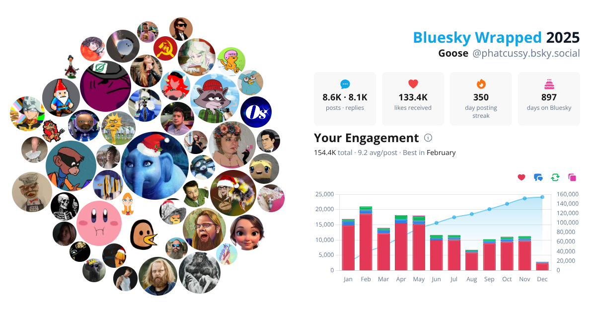 Your Bluesky Wrapped 2025 preview
