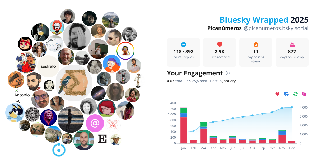 Your Bluesky Wrapped 2025 preview