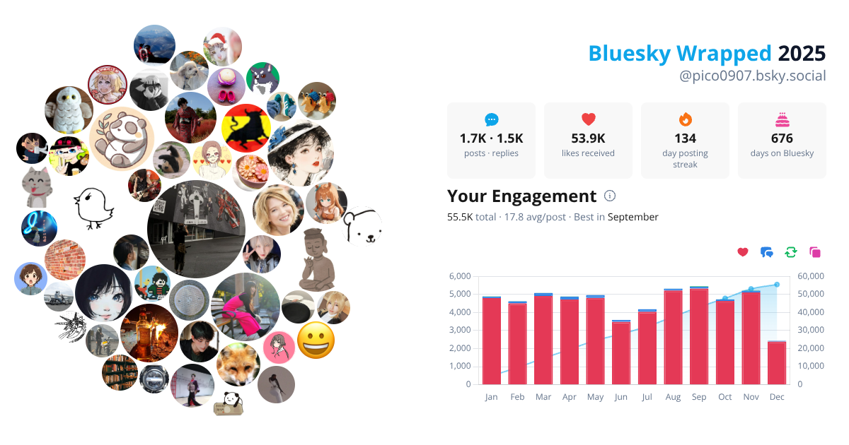 Your Bluesky Wrapped 2025 preview