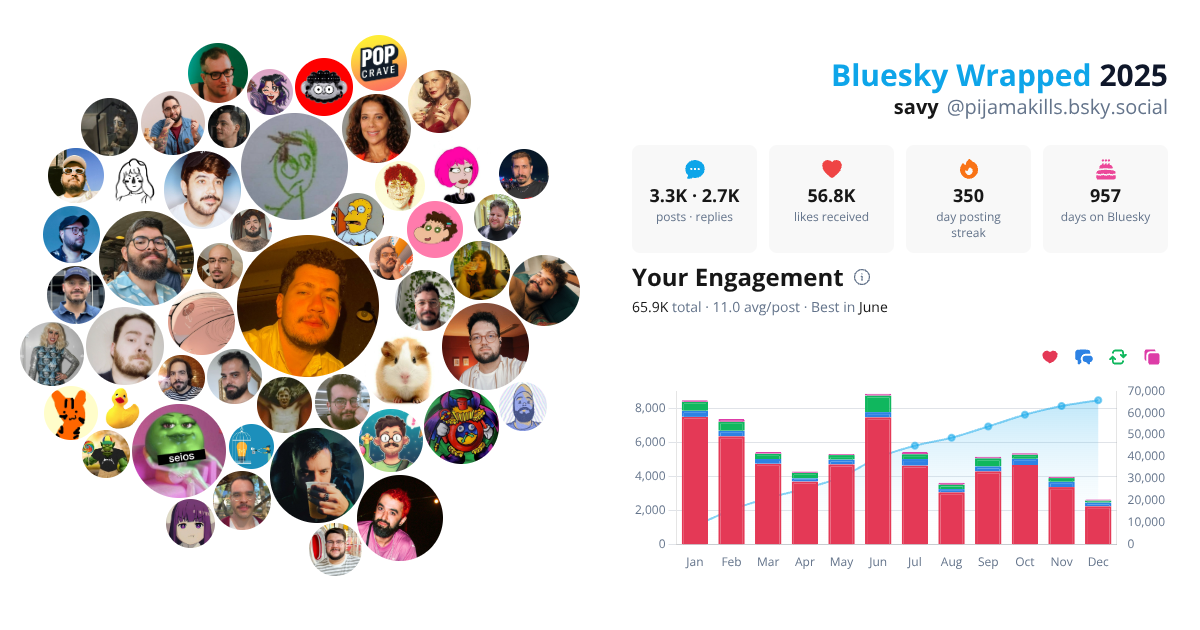 Your Bluesky Wrapped 2025 preview