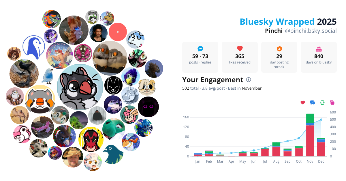 Your Bluesky Wrapped 2025 preview