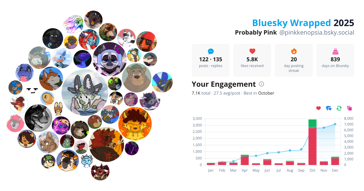 Your Bluesky Wrapped 2025 preview