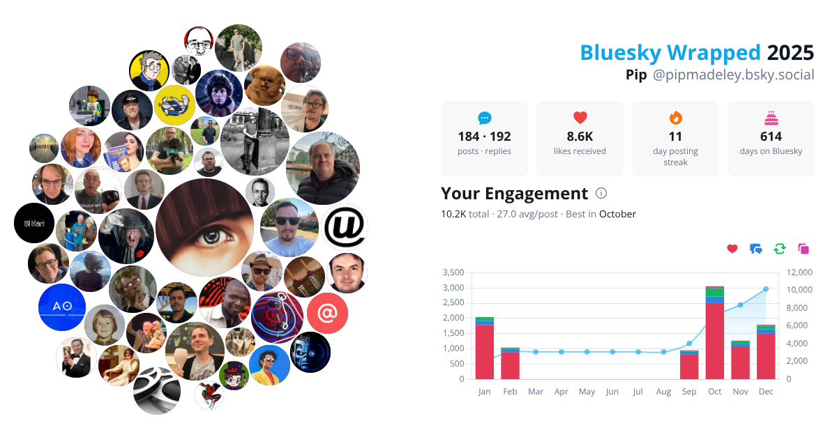Your Bluesky Wrapped 2025 preview