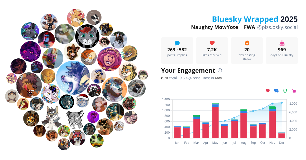 Your Bluesky Wrapped 2025 preview