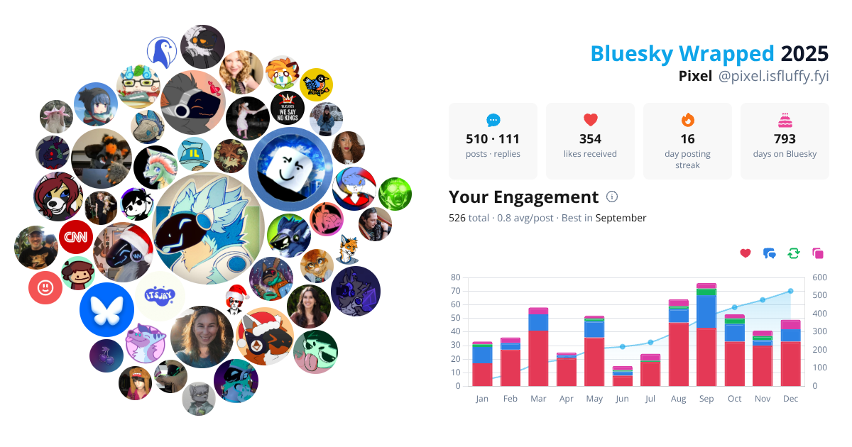 Your Bluesky Wrapped 2025 preview